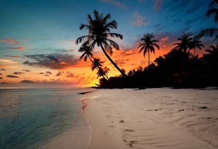 Tropical beach, dramatic sunset, black shilouettes of palm tree, black blue and orange only, professional photography, sky on fire, sun, vibrant