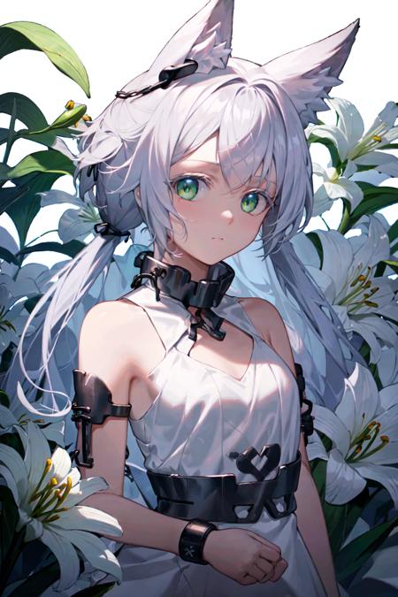 rosmontisB, 1girl, , low_twintail, animal ears, long hair, flower, dress, green eyes, white dress, chain, animal ear fluff, white hair, lily (flower), bare shoulders, wolf ears, bangs, sleeveless,  black anklet,
looking at viewer, closed mouth, Expressionless, upper body,
<lora:C_rosmontis:1.0>