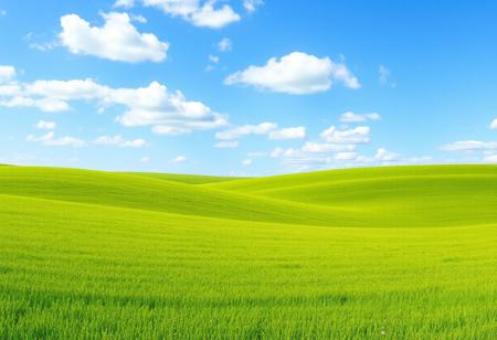 lush green field, iconic rolling hills, bright and vibrant green grass stretching far into the horizon, blue sky with scattered fluffy clouds, clear and sunny day, high-resolution, ultra-realistic textures, serene and peaceful atmosphere, vast open landscape, soft gentle slopes, minimalistic yet beautiful, perfect symmetry in nature, tranquil and calming mood, (blurry details:-1.6), (overexposed lighting:-1.5), (dull colors:-1.5), (flat composition:-1.4), (urban elements:-1.6)