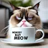 NobodyButMeow's Avatar