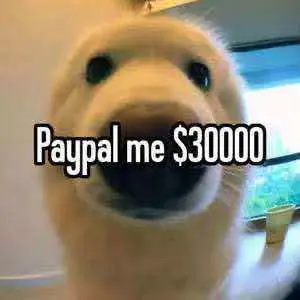 Skall95's Avatar