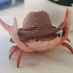 I_AM_AN_ARTHROPOD's Avatar