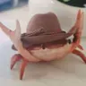 I_AM_AN_ARTHROPOD's Avatar
