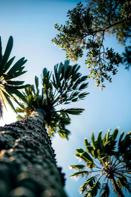 Masterpieces of Nature's Craftsmanship/大自然的鬼匠神工