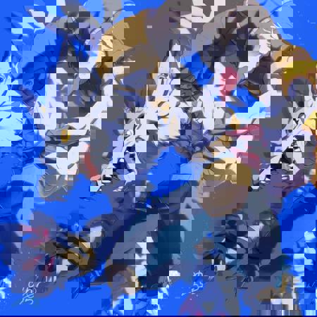 Were Garurumon ! (Pony) REQUEST v1