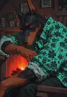 Torko_owo's Avatar