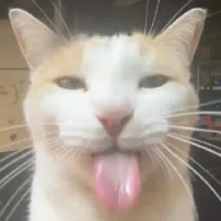 HuseyinAbi's Avatar