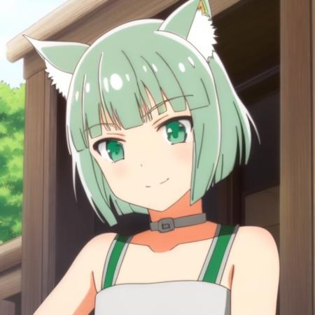 shironeko, ((shironeko)), 1girl, solo,  green eyes, green hair, smile, short hair, animal ears, jewelry, closed mouth, small body <lora:Shironeko:0.8>