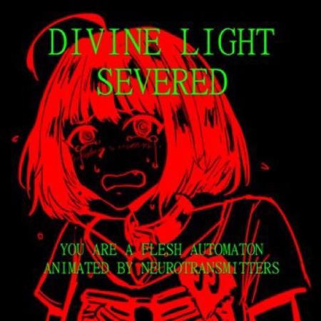 usagi_lover's Avatar