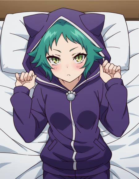 <lora:yaya-fushiguro-s1-ponyxl-lora-nochekaiser:1>, yaya fushiguro, short hair, green eyes, green hair, long sleeves, hood, hoodie, animal hood, track suit, cat hood,