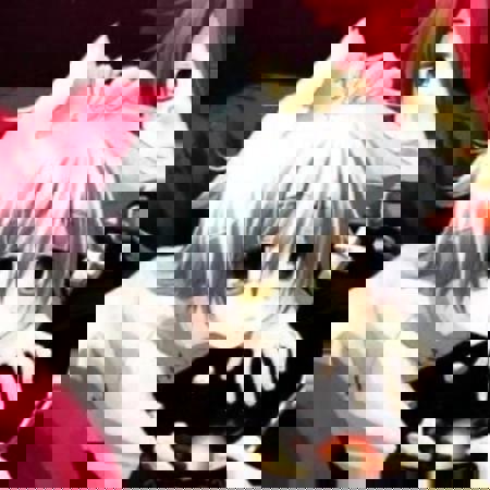 custardkitty's Avatar