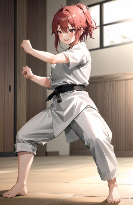 Tomo-chan wa Onna no ko! Tomo Aizawa was raised in a Karate Dojo