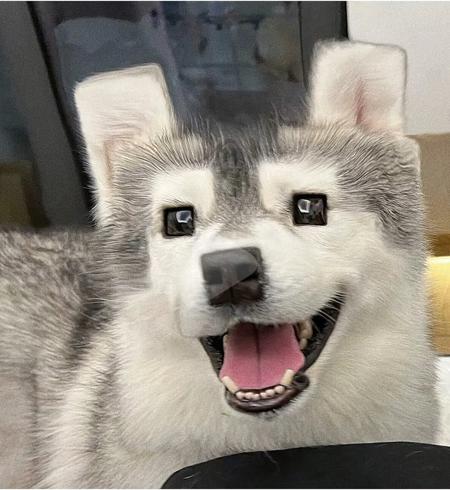 juanliankf's Avatar