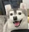 juanliankf's Avatar
