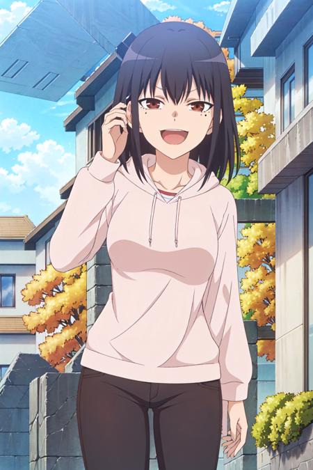 (exceptional, best aesthetic, new, newest, best quality, masterpiece, extremely detailed), Anetoro, 1girl, mole under eye, solo, hoodie, brown eyes, black hair, ((perfect female body))short hair, evil eyes, evil smile, open mouth, looking at viewer, sweater, pants, adjusting hair, city street, sunny, clouds,<lora:Anetoro_V1:0.7>