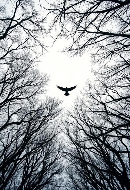 This image presents a unique blend of nature's raw beauty and complex mathematical expressions. A solitary bird, captured mid-flight, dominates the frame, silhouetted against a softly lit, overcast sky. Its wings are outstretched, suggesting purposeful movement through the air. Below the bird, a dense canopy of trees, devoid of leaves, stretches across the landscape, creating an intricate pattern of branches that reach towards the center. The perspective is unusual, looking directly up through the intertwined limbs, emphasizing the bird's solitary journey.