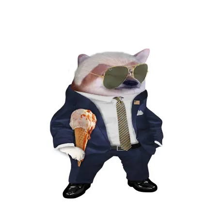 aminiverdath's Avatar