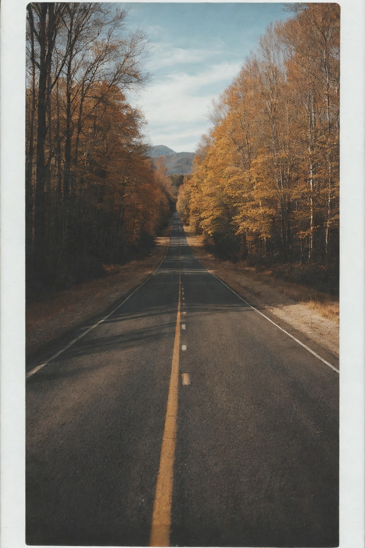 polaroid photo of a road, warm tones, perfect landscape