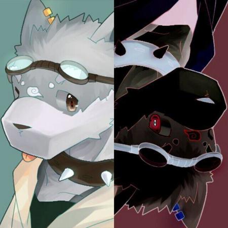 DonWolfer's Avatar