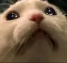 NabuKonodozor69's Avatar