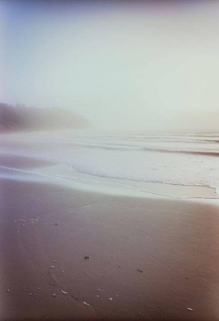 soaked_seasalt,  instagram photo, a foggy beach, hard shadows, film grain