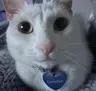 mmurmuring's Avatar