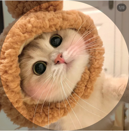 xidaqi's Avatar