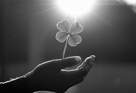 cinematic, ((black and white, monochrome, greyscale, bw)), silhouette, photograph, of a cute, innocent, feminine hand, giving a four-leaf clover, to a humble, kind old masculine hand, sun shining, noise, detailed, high quality, cinematic lighting, contrast, heavy dynamic shadows, atmospheric,