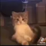 disstable's Avatar