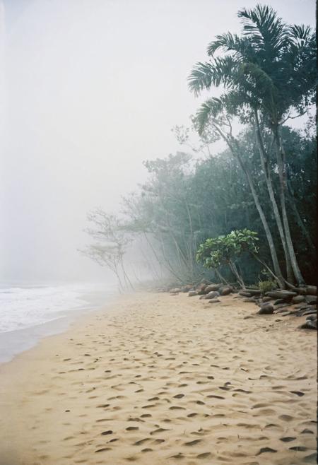soaked_kaffee, a foggy beach somehere in sri lanka, hard shadows, film grain