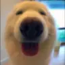 Mekokoro's Avatar