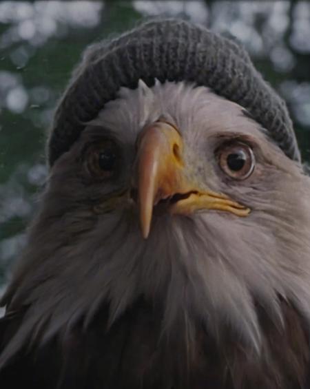 bwp-face, nighttime, close-up, half,  scared and crying (eagle:1.1) wearing a grey beanie, dark forest background, cropped, movie, (animal focus:1.1), lowkey, film grain,  <lora:- SDXL - bwp-style_blair_witch_project1999_V1.0:.8> <lora:- SDXL - n-eeyblch_eye_bleach_V1.0:0.1>