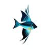 Pterox's Avatar