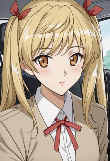 Sawachika Eri | School Rumble | スクールランブル v1.0
