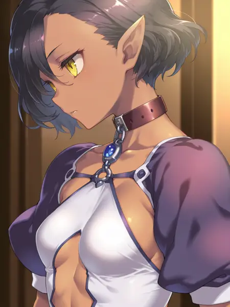 Luca (Kuroinu 2) [Illustrious]