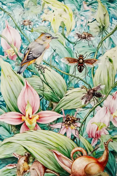 Birds and Bees: Edmond Julius Detmold Watercolor Illustration Style