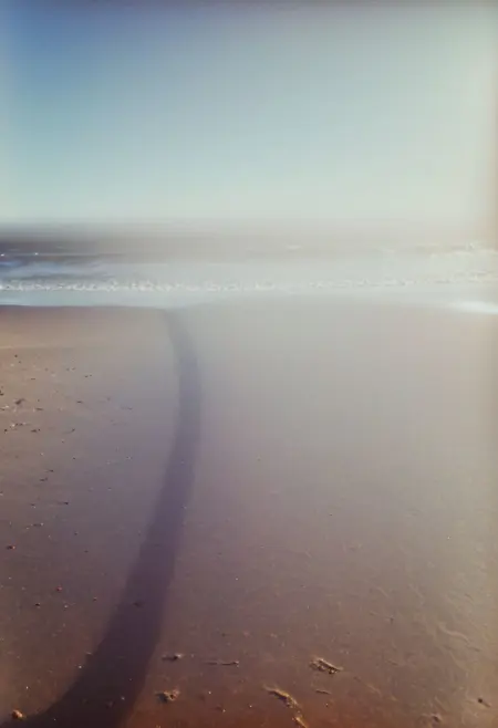 soaked_seasalt