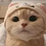 Liki09's Avatar