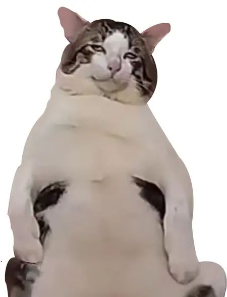 mntdq's Avatar