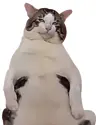 mntdq's Avatar