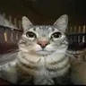 profitaiai's Avatar