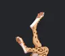 WhItes0me's Avatar