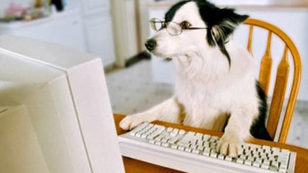 bufferdawg's Avatar