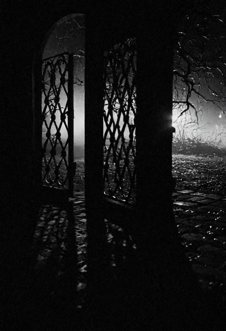 cinematic, ((black and white, monochrome, greyscale, bw)), It's close to midnight, something evil's lurking in the dark, under the moonlight, you see a sight that almost stops your heart, you try to scream but terror takes the sound before you make it, you start to freeze, as horror looks you right between your eyes, you're paralyzed, noise, detailed, high quality, cinematic lighting, contrast, heavy dynamic shadows, atmospheric,
