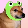Andriu's Avatar
