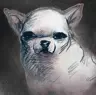 SamYao31's Avatar