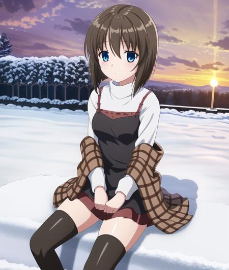 ((masterpiece)),(((best quality))), ((ultra-detailed)), ((illustration)), masterpiece, best quality, highres, {beautiful detailed eyes}, finely detail, 4k wallpaper, beautiful detailed eyes, 
1girl, short brown hair, brown shawl, blue eyes, sitting on a bench in snowy garden, sunset, black thighhighs