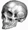 coperdamian907's Avatar