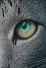 jjextr9388's Avatar