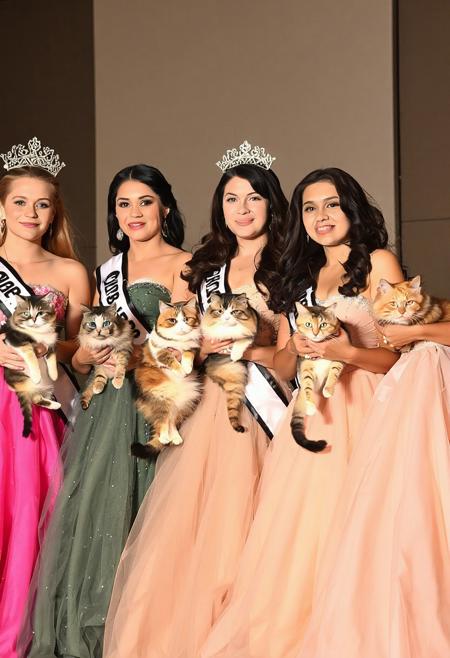 Ms World ballgown competition, five adult beautiful women of various nationalities lined up in a diagonal  row, diagonal view, dynamic angle, different breed of show cat held by each woman,, focus on cats and faces